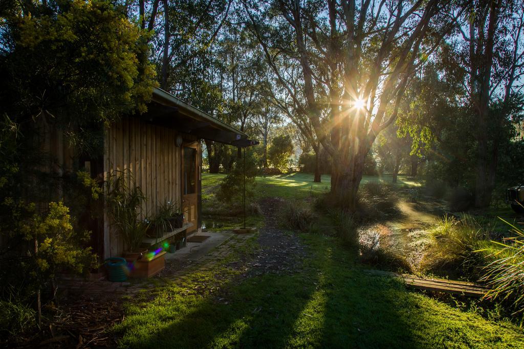 The Burrow At Wombat Bend Villa Dixons Creek Екстериор снимка