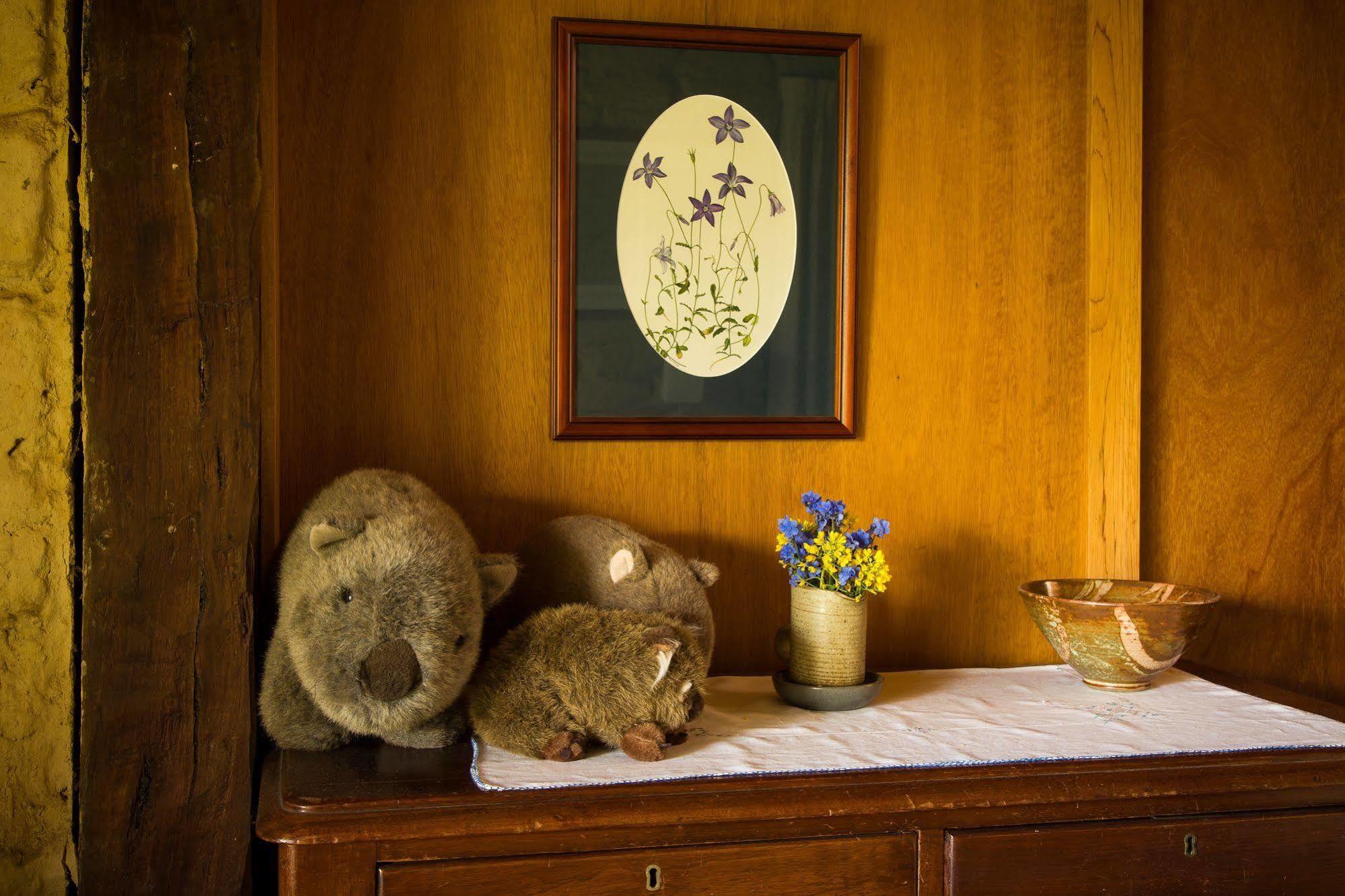 The Burrow At Wombat Bend Villa Dixons Creek Екстериор снимка